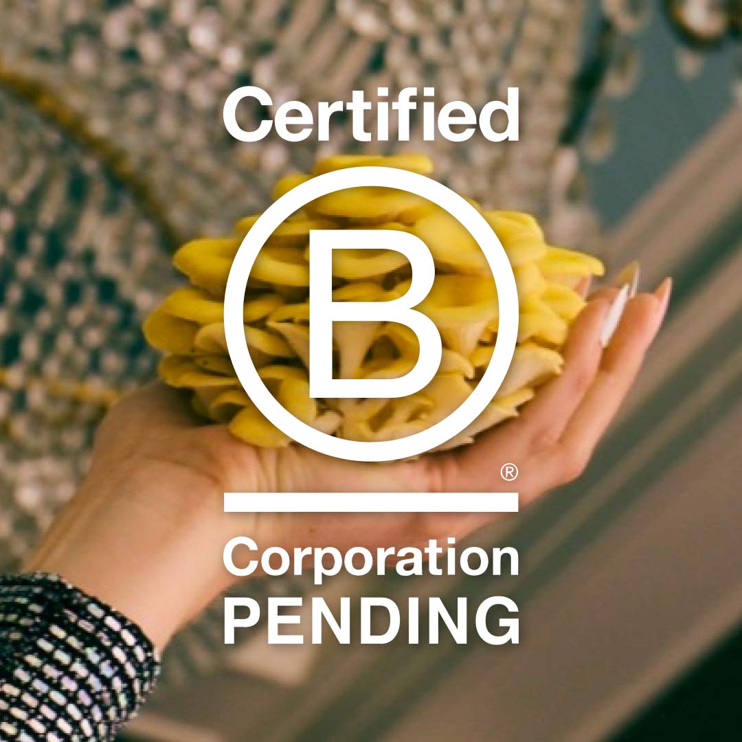 Pending B Corp, Baby! – Liv Fuller Foods